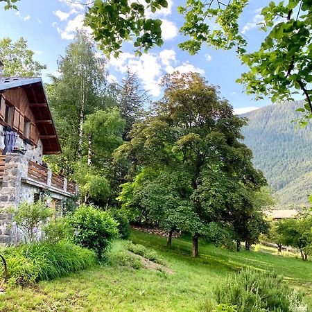 Chalet Le Tilleul Valdeblore Extérieur photo
