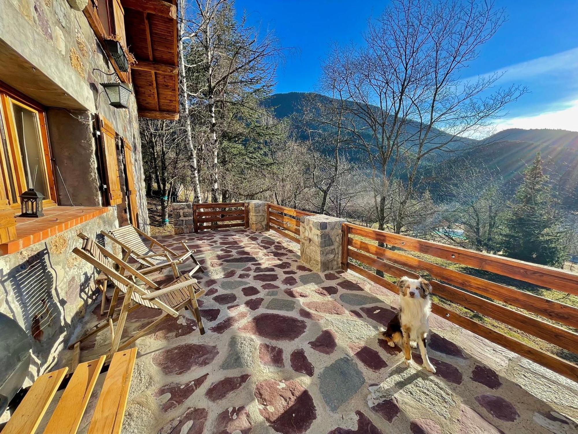 Chalet Le Tilleul Valdeblore Extérieur photo